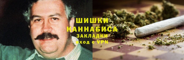 PSILOCYBIN Баксан
