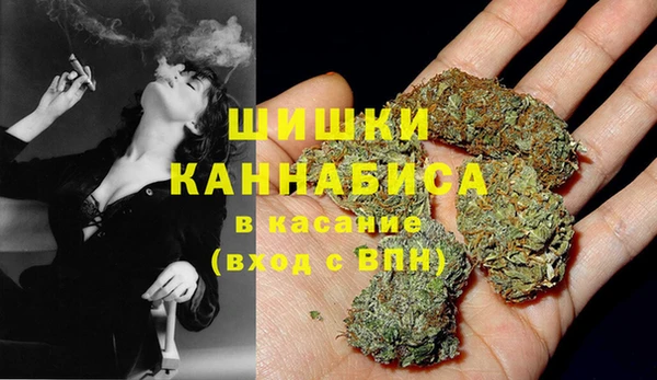 PSILOCYBIN Баксан
