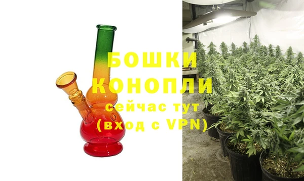 PSILOCYBIN Баксан