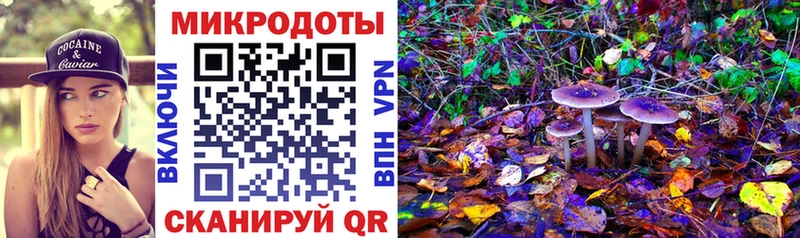 Галлюциногенные грибы Psilocybe Нязепетровск